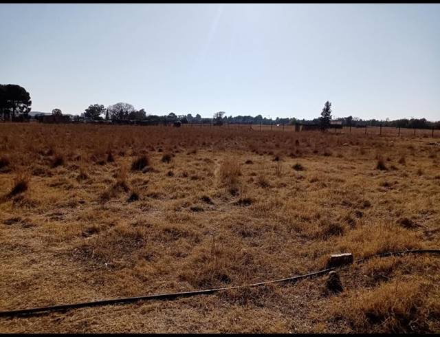 FARM FOR SALE IN WALKER'S FRUIT FARMS